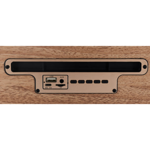 Enceinte Effet Bois 2x 5w M4