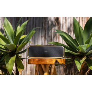 Enceinte portable MARLEY Get Together 2