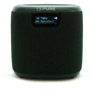 Radio DAB PURE Woodland Mini Green