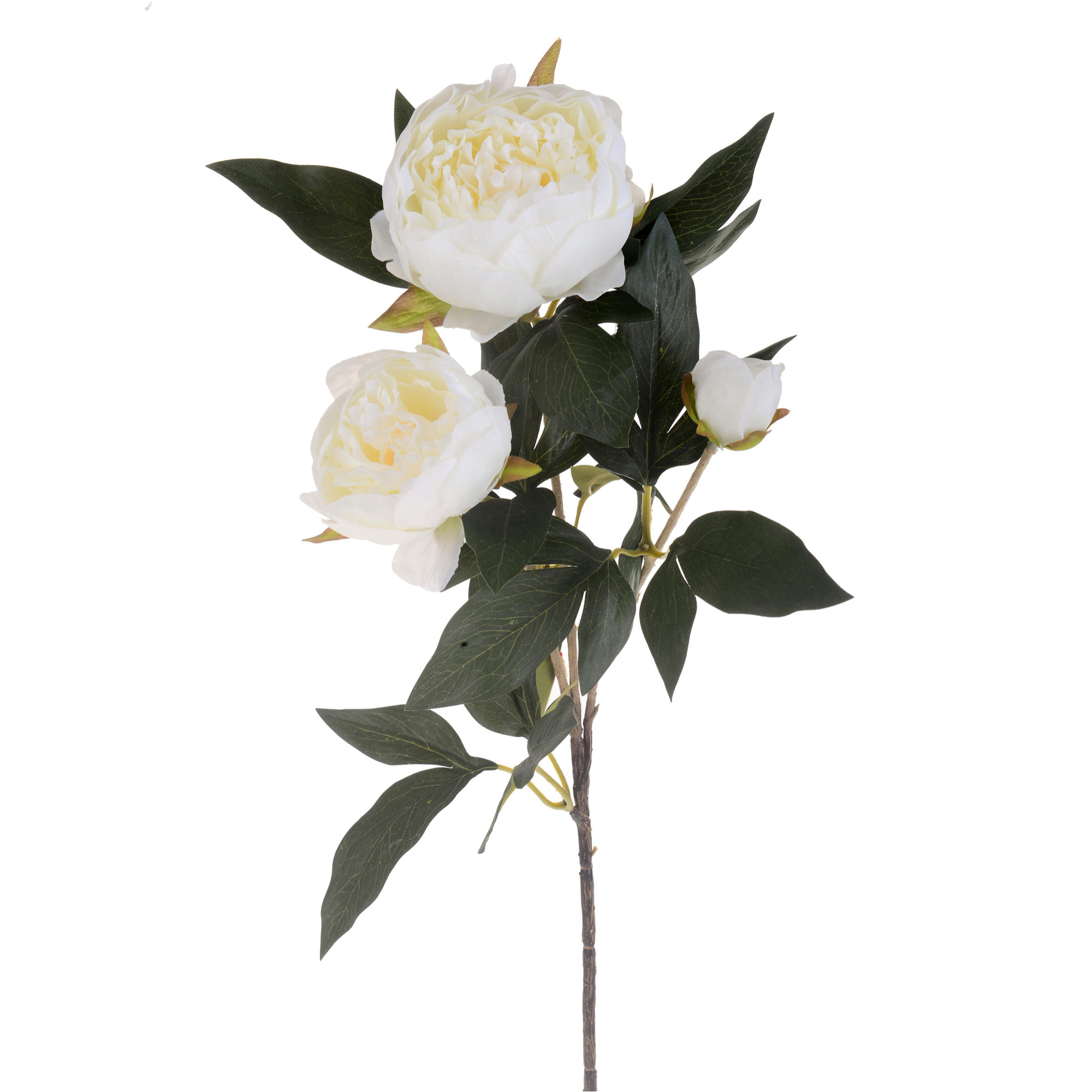 Peonia Con 3 Fiori. Altezza 74 Cm - Pezzi 4 - 17,8X74X27,9cm - Colore: Bianco - Bianchi Dino - Fiori Artificiali