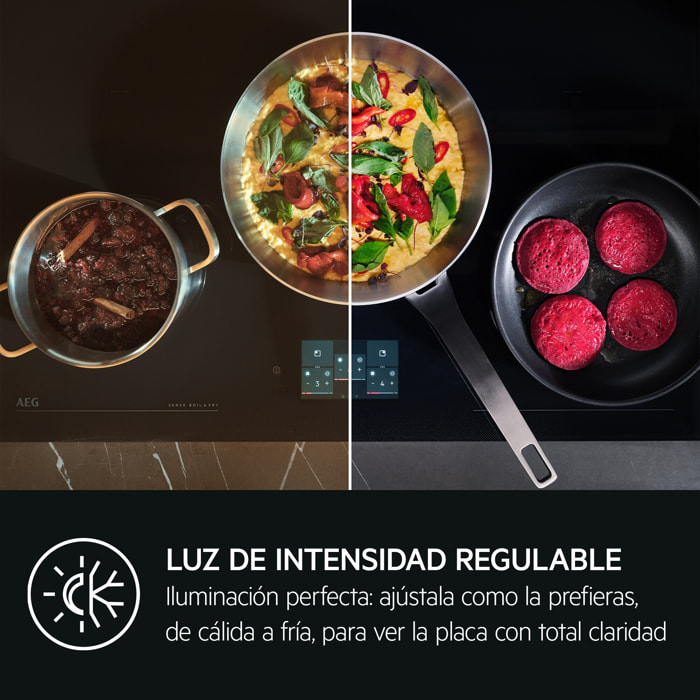 AEG Campana extractora extraíble Serie 7000 SilenceTech de 60 cm GDP866PL | Reacondicionado