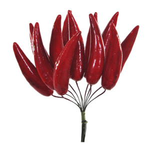 Peperoncini - Pezzi 12 - 1xH13x1cm - Bianchi Dino SpA