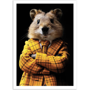 Affiche - Quokka Wild Suits - Philippe Hugonnard