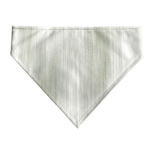 Pack de 2 bandanas pour animaux Lluc VerT