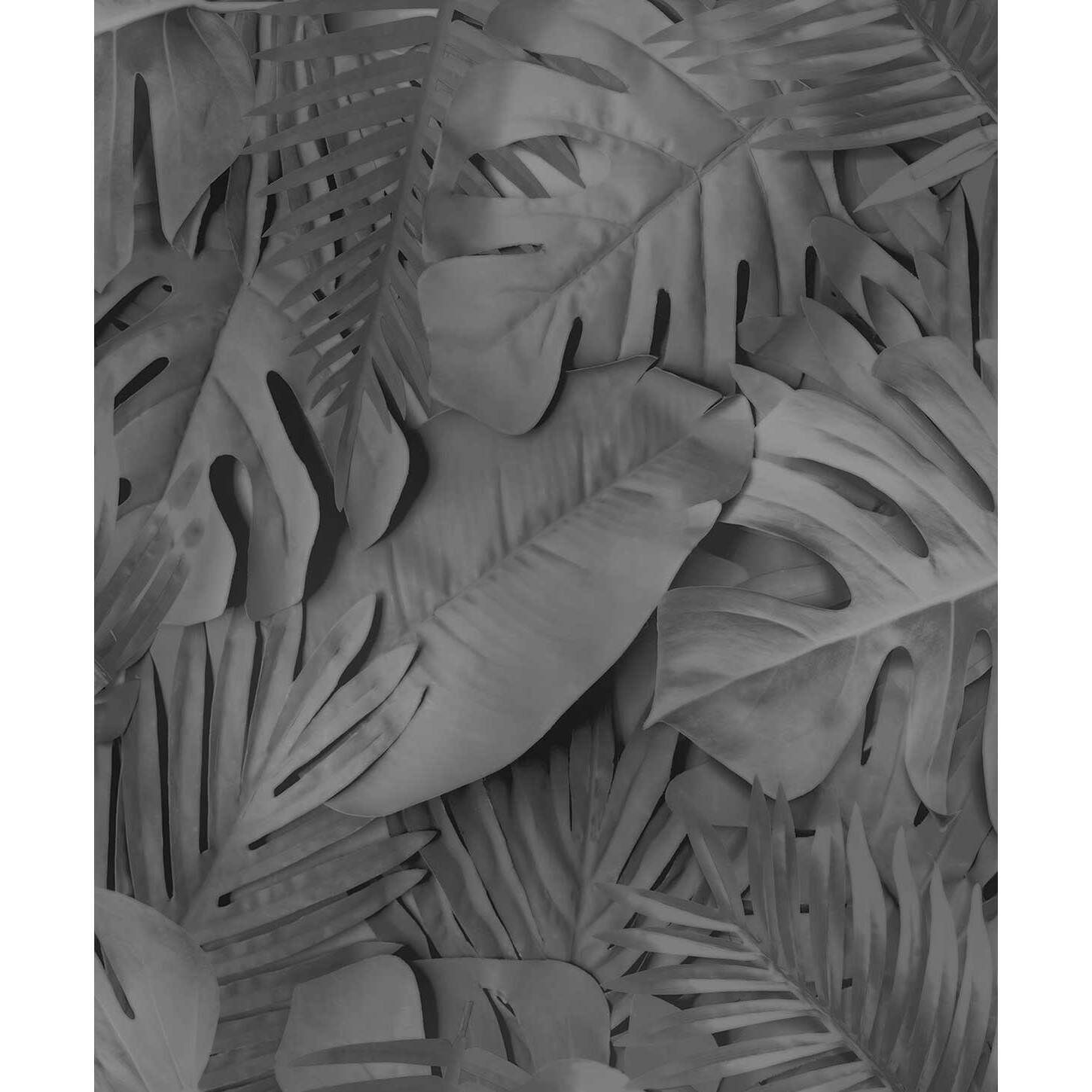 Papier peint feuillage tropical noir et blanc