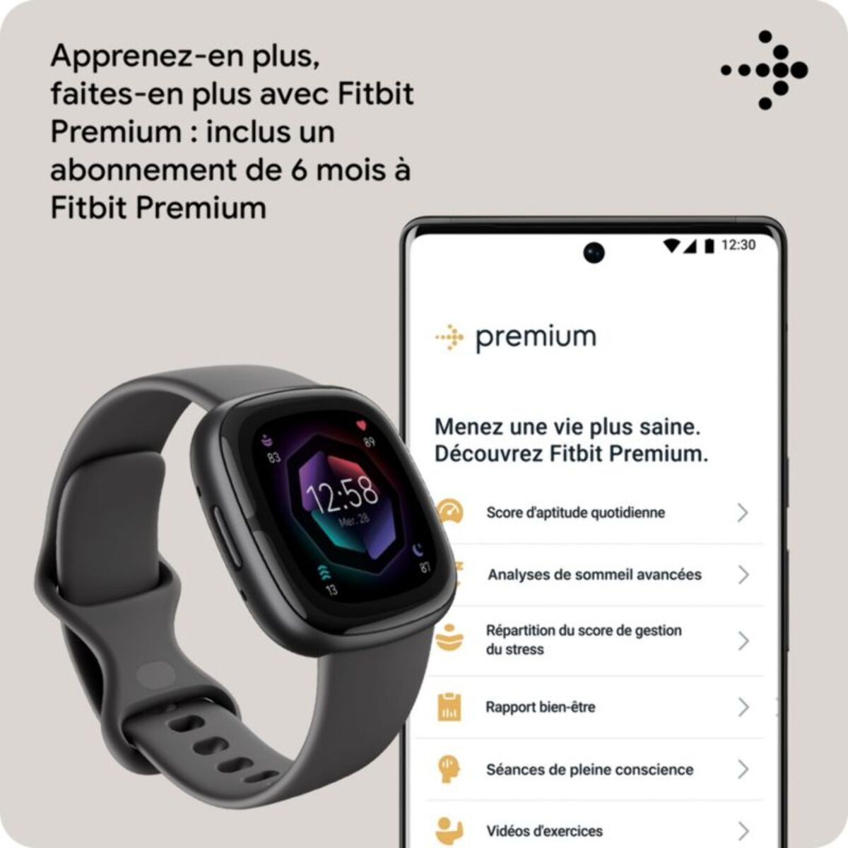 Montre santé FITBIT Sense 2 Aluminium Graphite et Gris ombre