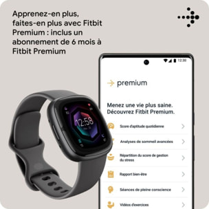 Montre santé FITBIT Sense 2 Aluminium Graphite et Gris ombre