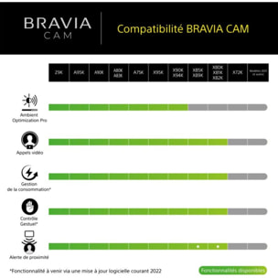 Caméra SONY Bravia Cam