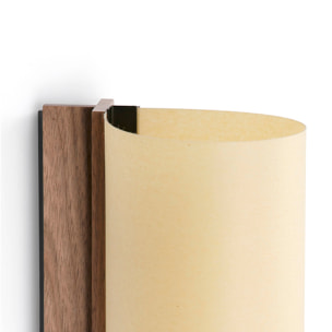 CATA 360 Applique noyer