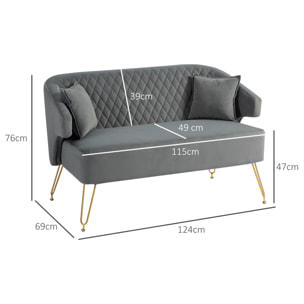 Sofá de 2 Plazas Tapizado en Terciopelo Sofá de Salón con 2 Almohadas Reposabrazos y Patas de Acero Doradas Sofá Pequeño Carga 240 kg para Dormitorio Oficina 124x69x76 cm Gris