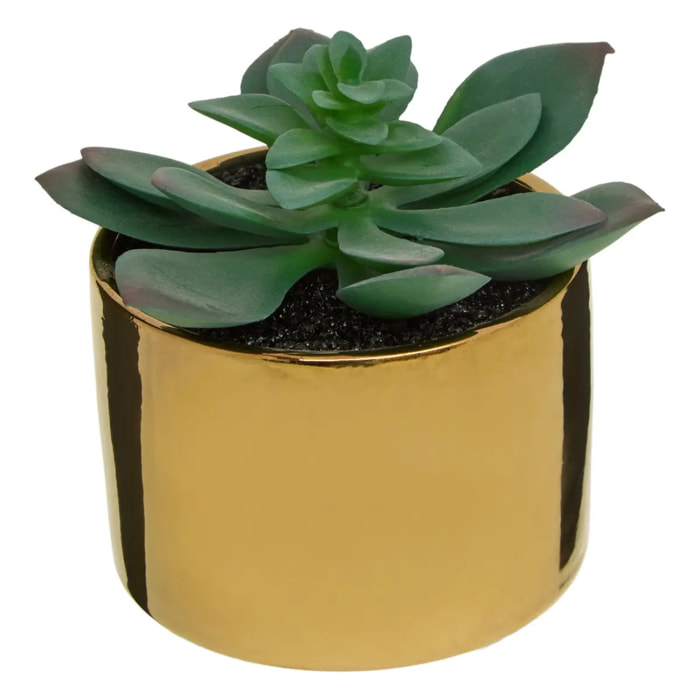 Plante verte pot céramique H.15