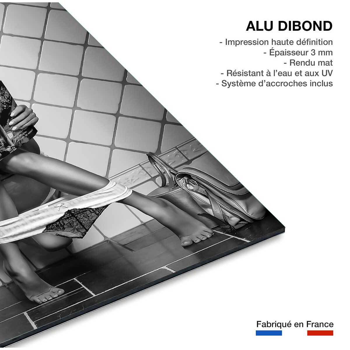 Tableau contemporain Multitasking Tableau alu Dibond