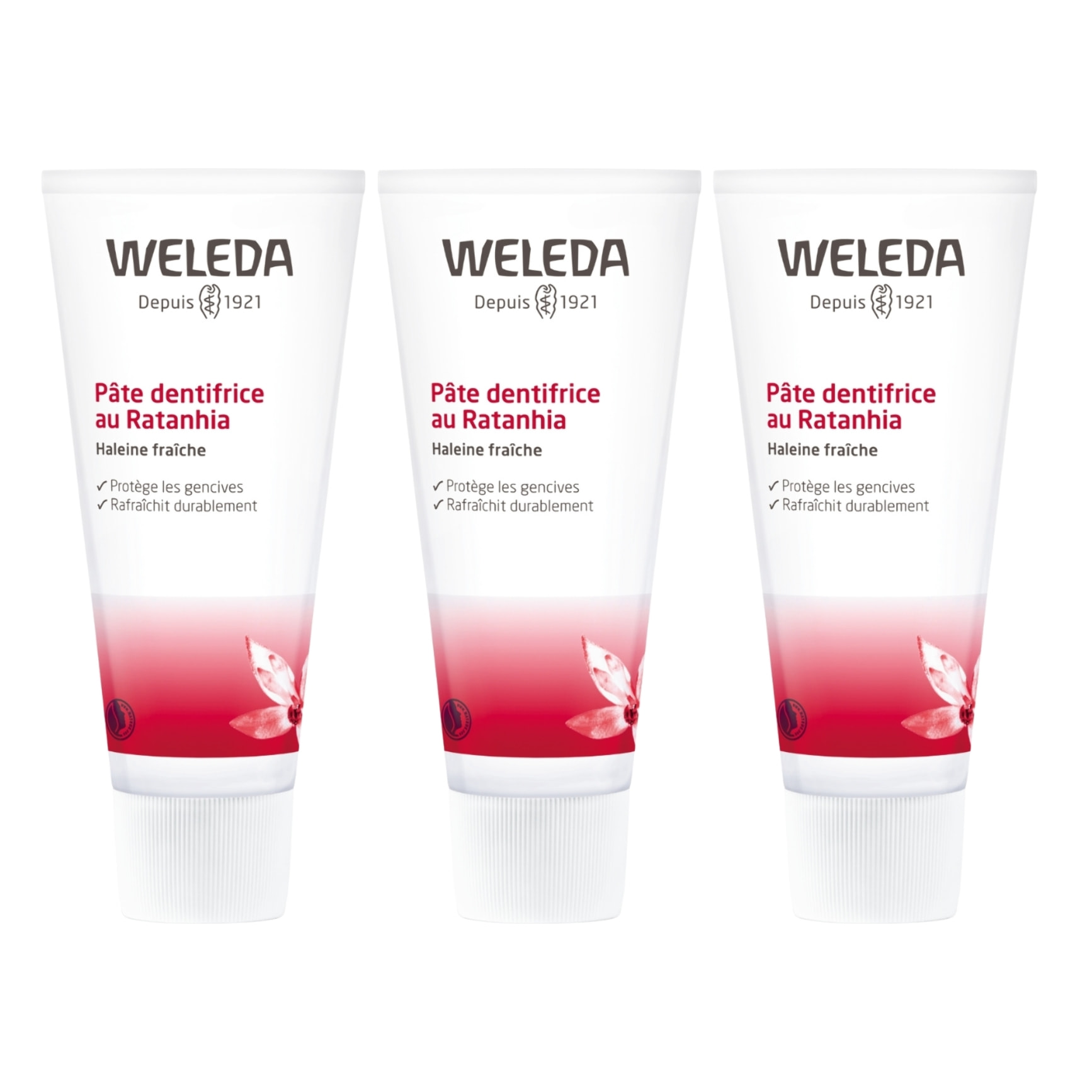 WELEDA - Trio Pâte dentifrice au Ratanhia - Protège et renforce les gencives - Vegan* - Certifié Natrue** -Tube 75 ml  x 3