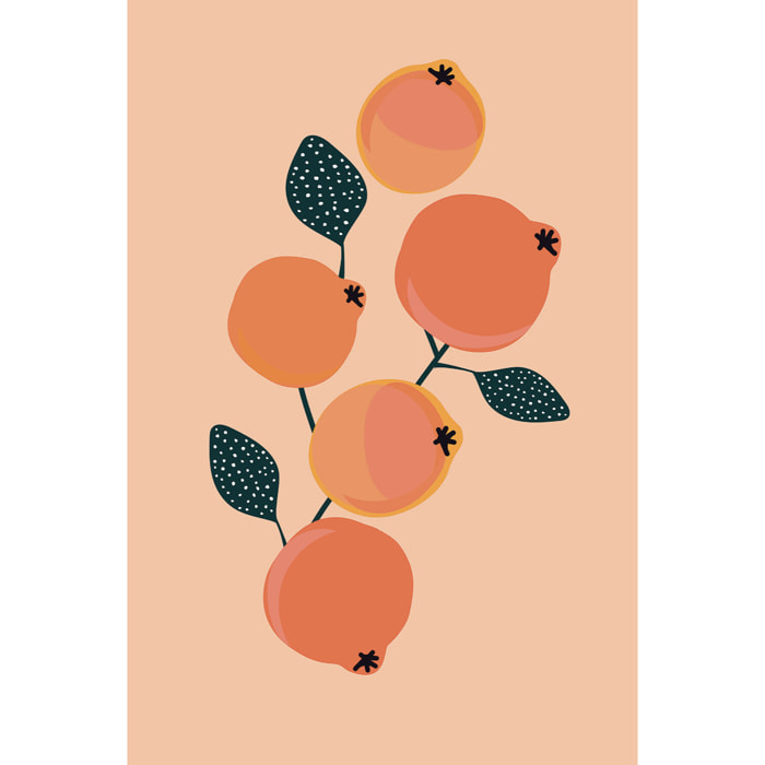 Tableau fruits vintage grenades orangées  Toile imprimée