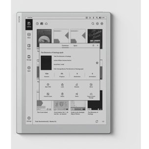 Liseuse eBook BOOX Go 10.3
