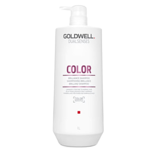 GOLDWELL DS Color Shampoo 1000ml