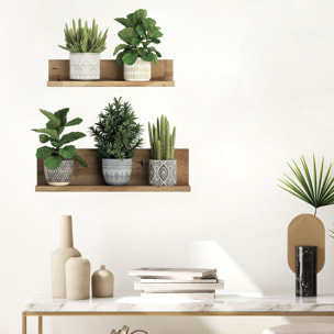 Stickers muraux 3D | Sticker Mural Autocollant effet PLANTES VERTES SUR ÉTAGÈRES - Stickers adhésifs 3D Chambre Salon Trompe l'oeil