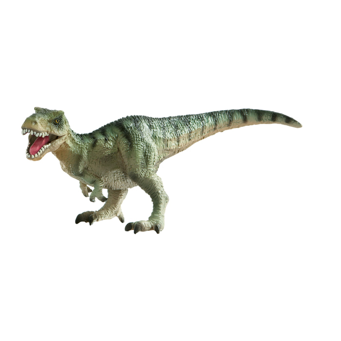 Dinosauri/Tirannosauro Medio Linea Museo Naturale