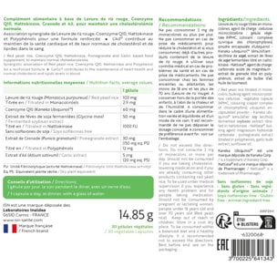 ISN - Cholestil - Maintient une cholestérolémie normale et protection du système cardiovasculaire - Complexe synergisé : Levure de riz rouge, Ail et Nattokinase - 30 gélules végétales