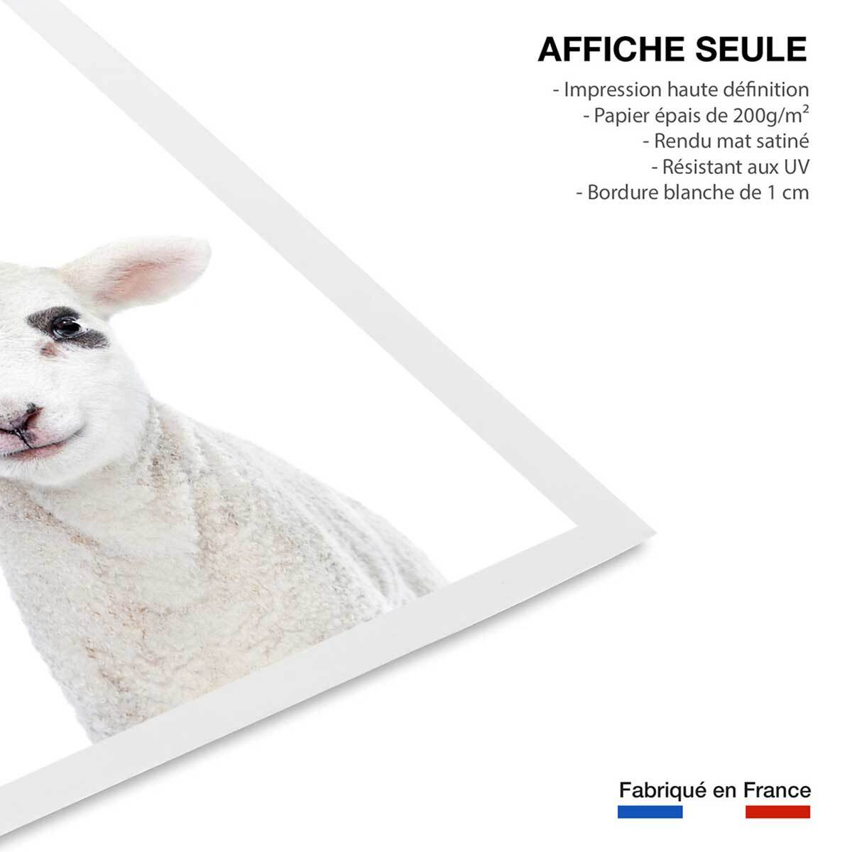 Affiche enfant bébé agneau  Affiche seule