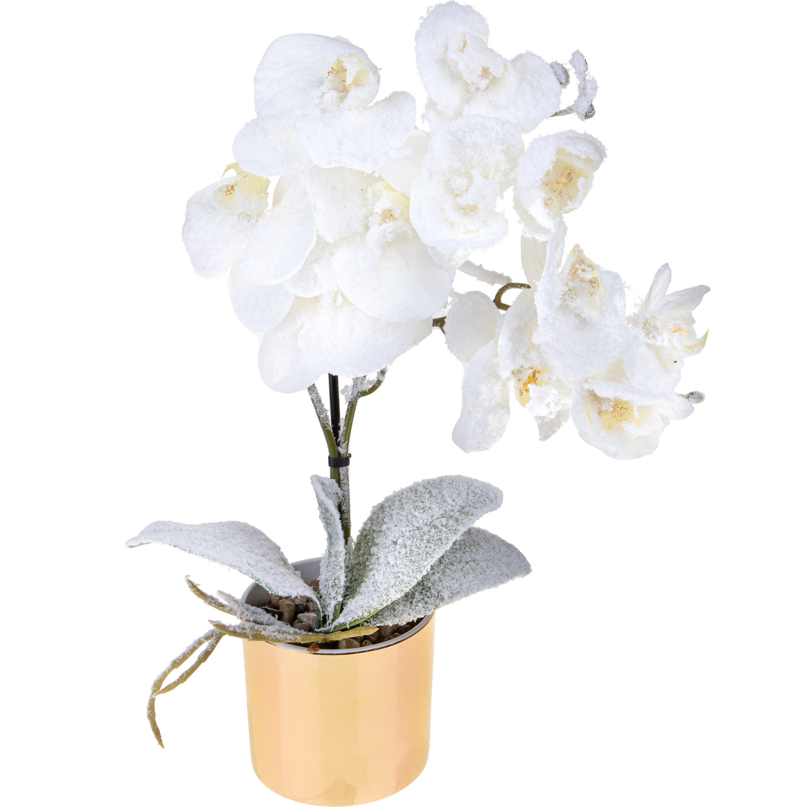 Vaso con Orchidea nevicata - Pezzi 3 - 9xH48x9cm - Bianchi Dino SpA