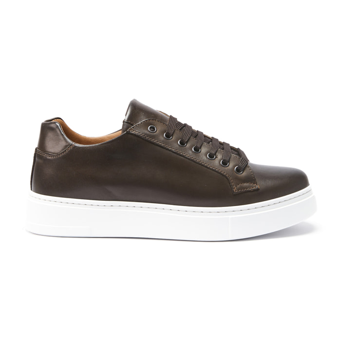 Classic Lace-up Sneaker British Passport Testa di moro