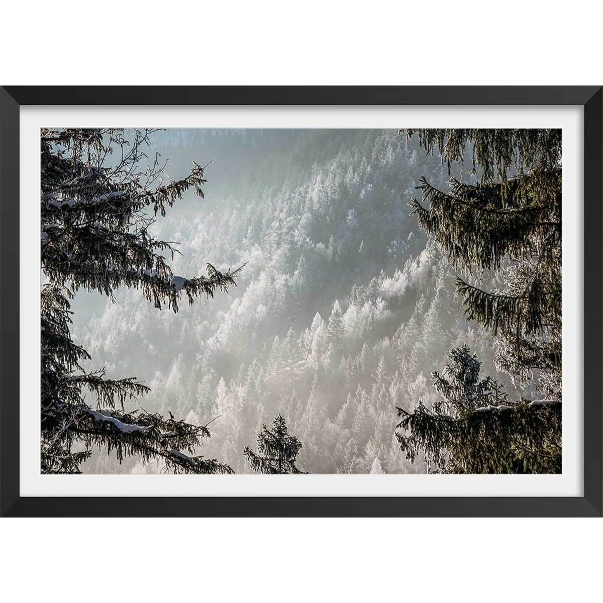Affiche paysage forest in fog drama Affiche + cadre en bois - Noir