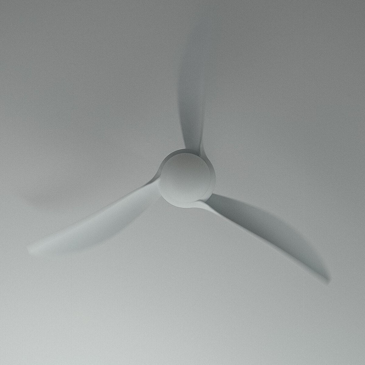 Forlight Ventilador IP20 Windy E27 15W Blanco Blanco