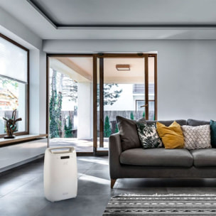 Deshumidificateur DELONGHI DEXD214RF Blanc