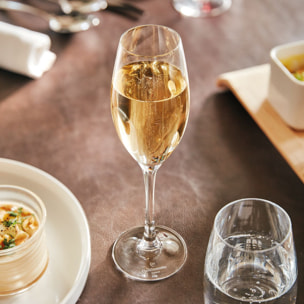 6 flute 24 cl Séquence - Chef&Sommelier