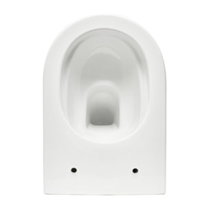 Pack WC bâti-autoportant + WC SAT sans bride fixations invisibles + Abattant softclose + Plaque blanche (SMART-Brevis-M270)