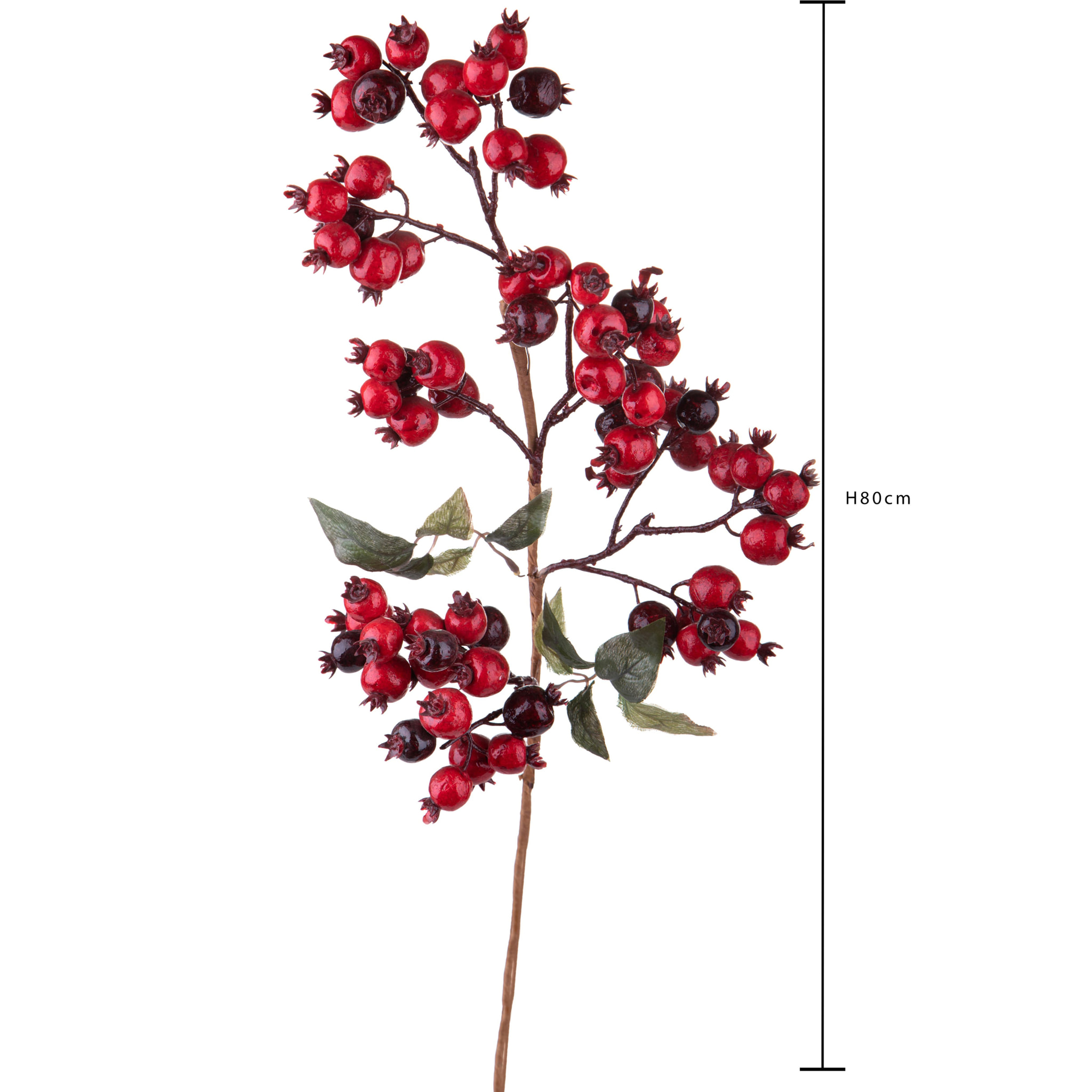 Ramo - Pezzi 6 - 25xH80x12cm - Bianchi Dino SpA