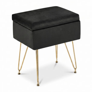 Panca Contenitore in Effetto Velluto con Seduta Imbottita e Vano Portaoggetti, Design Moderno con Gambe in Acciaio per Ingresso, Camera da Letto e Soggiorno