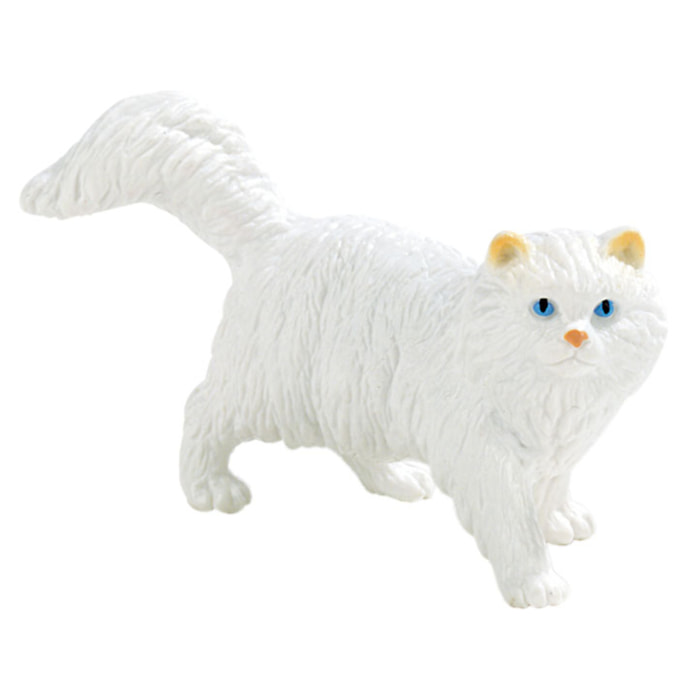 Animali di Casa/Gatto Persiano
