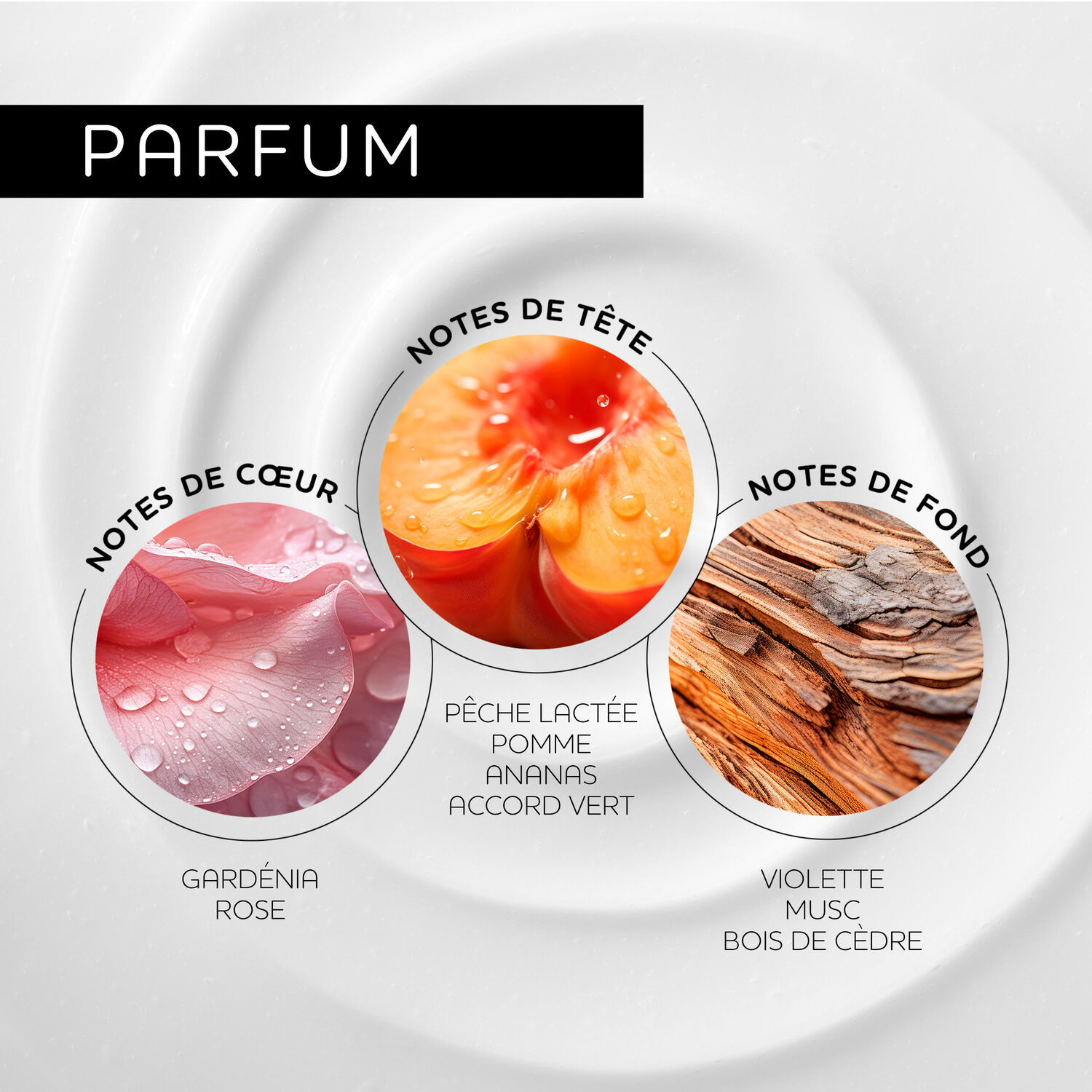 Nutri Color™ - 200ML