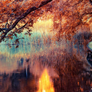 Affiche encadrée paysage d’automne Affiche + cadre en métal - Noir