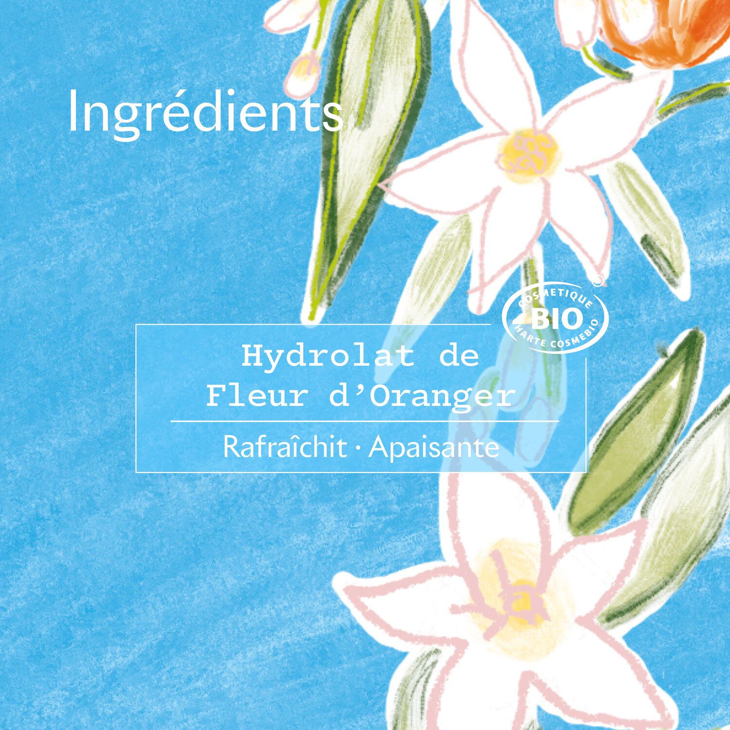 Véritable Eau Florale - Fleur d'Oranger 200 ml
