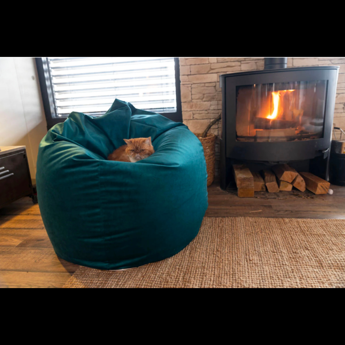 William Velours Bleu Paon