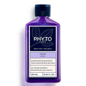 Violet - Shampooing Déjaunissant 250 ml