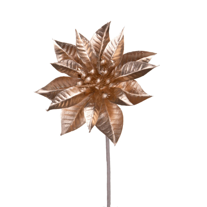 Pick con stella dm - Pezzi 48 - ORO - Bianchi Dino SpA