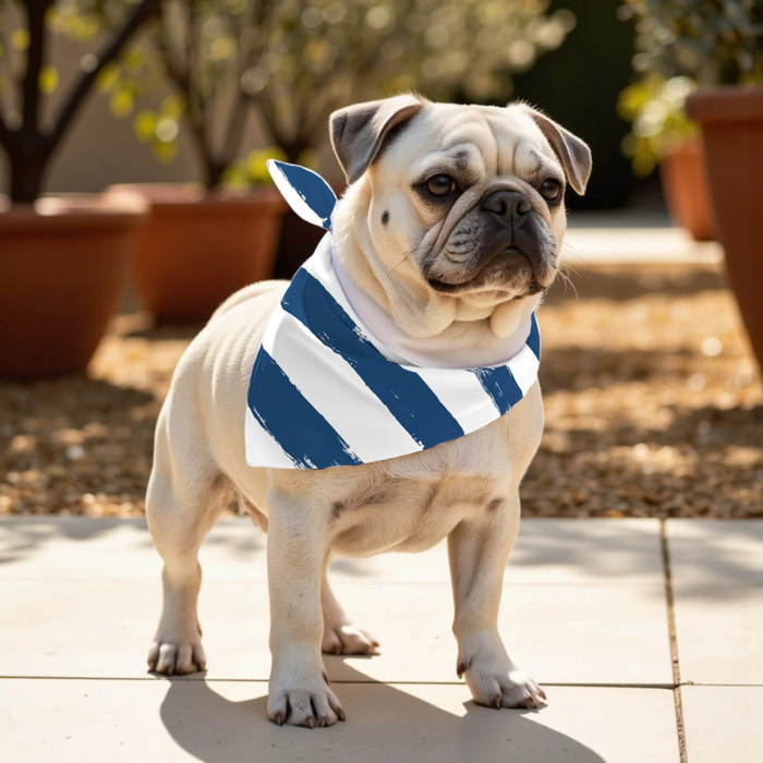 Pack de 2 bandanas pour animaux Cambrils