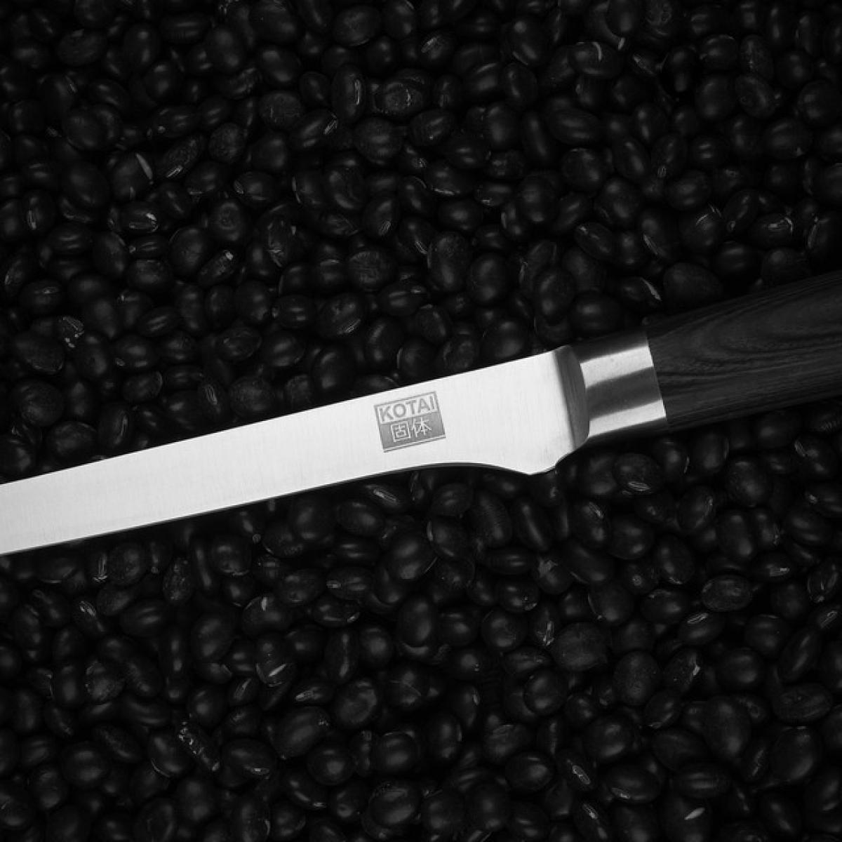 Couteau à Filet | Lame 200 mm | Acier Inoxydable | Lame Japonaise 440C