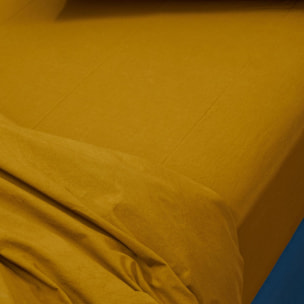 Drap housse Céleste