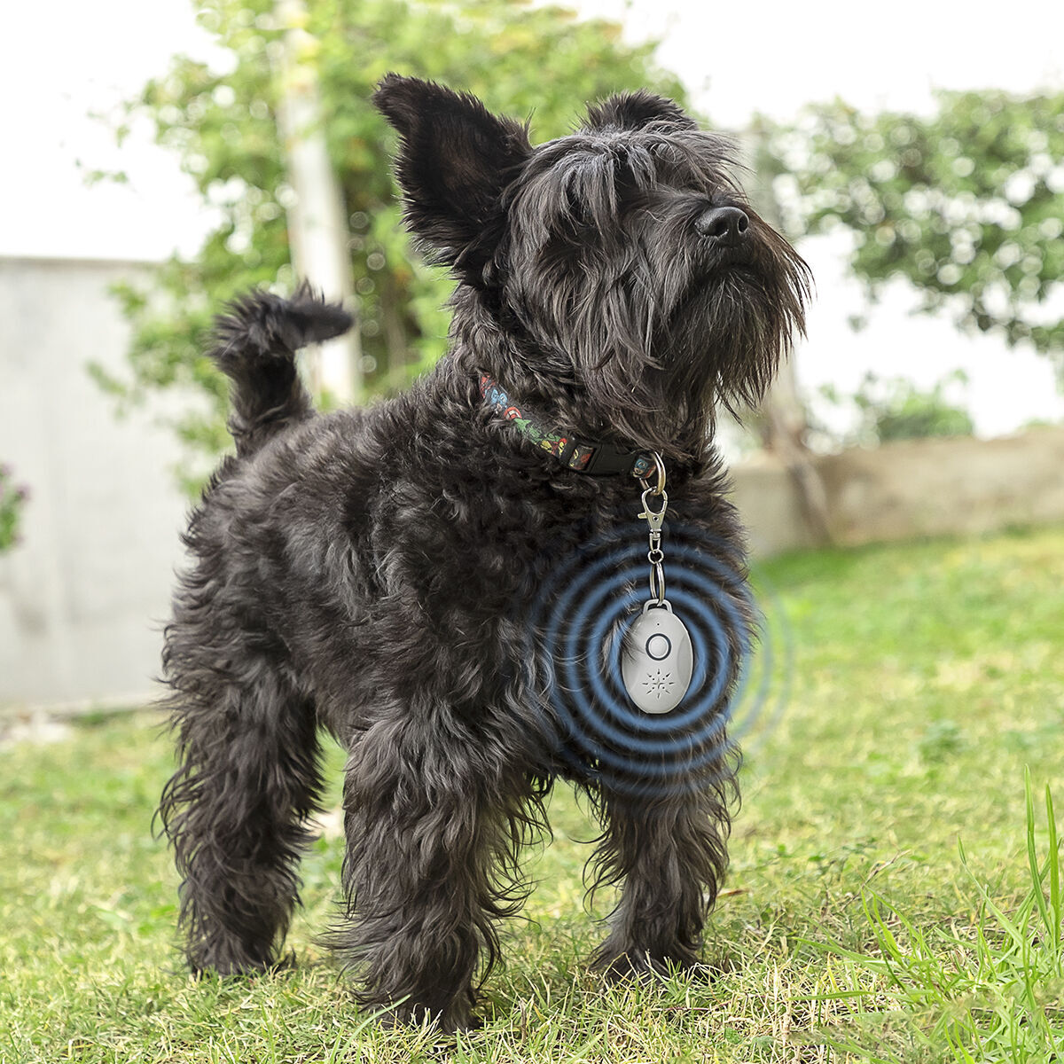 Antiparásitos por Ultrasonidos Recargable para Mascotas PetRep InnovaGoods