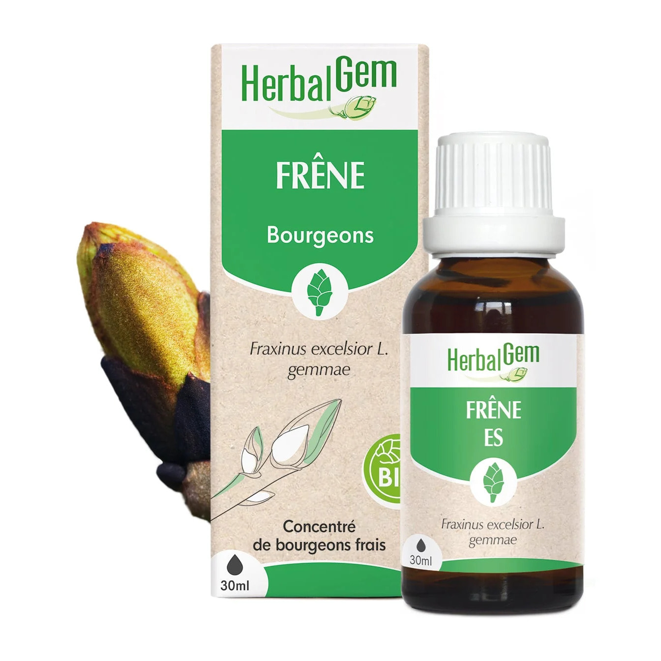 Herbalgem- Bourgeon de Frêne - Bio - 30 ml