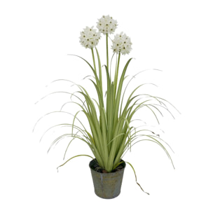 Agapanthe artificielle à fleurs blanches pot en zinc h99cm