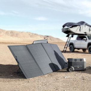 Batterie nomade ECOFLOW DELTA Pro 3600Wh