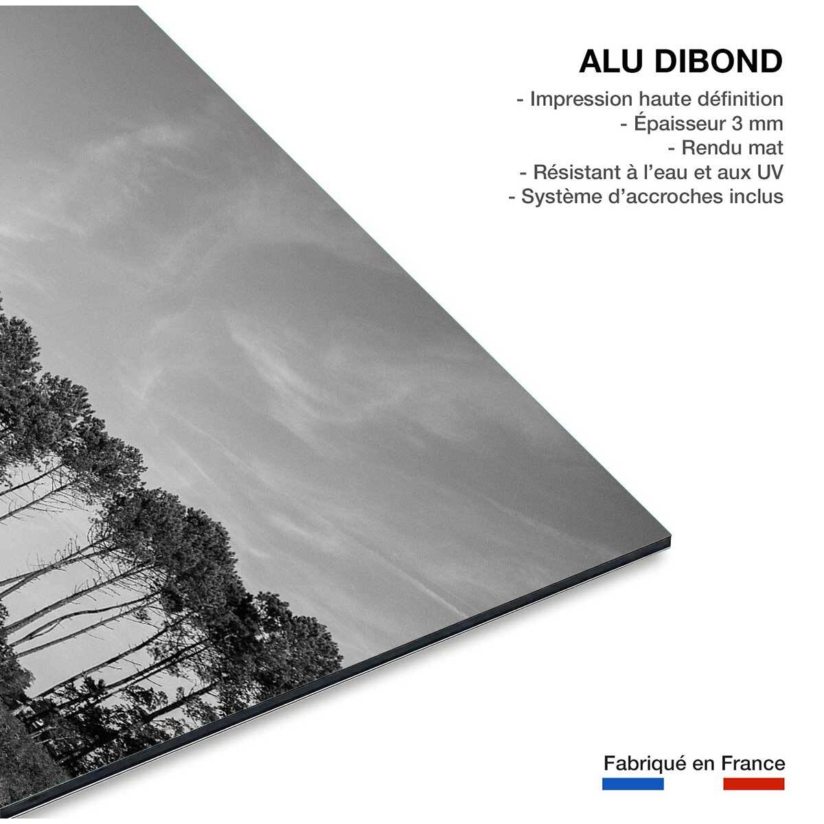 Tableau noir et blanc pinède d' hossegor Tableau alu Dibond