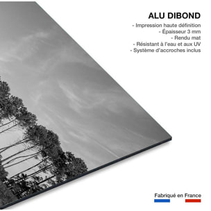 Tableau noir et blanc pinède d' hossegor Tableau alu Dibond