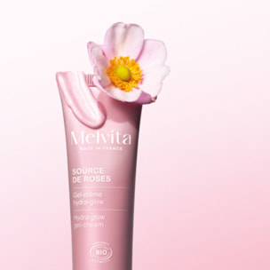 Source de Roses - Gel-Crème Hydra-Glow Hydratation Intense 50ml
